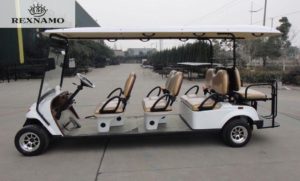 India Electric golf cart