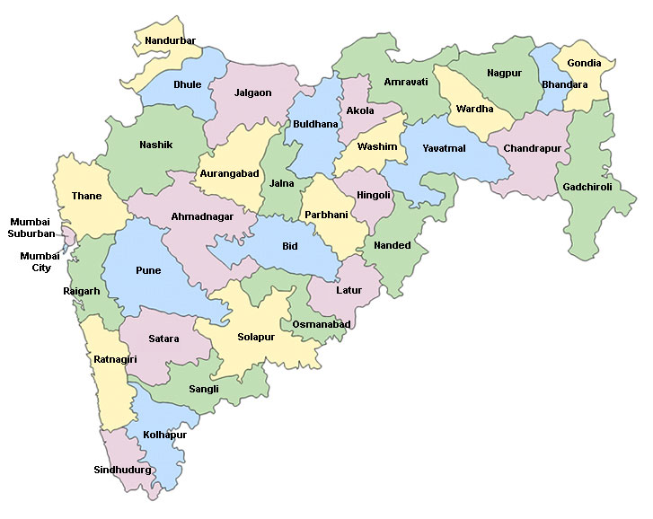 Electric Vehicle Market Condition