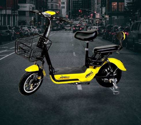 Joy E-Bike