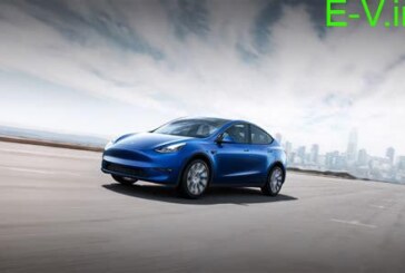 Tesla Model Y lineup