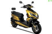 Electric two-wheeler sales FY2021