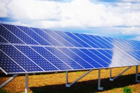 Waaree Energies Wins Big: Secures 220MW Solar Panel Order from Sprng Energy